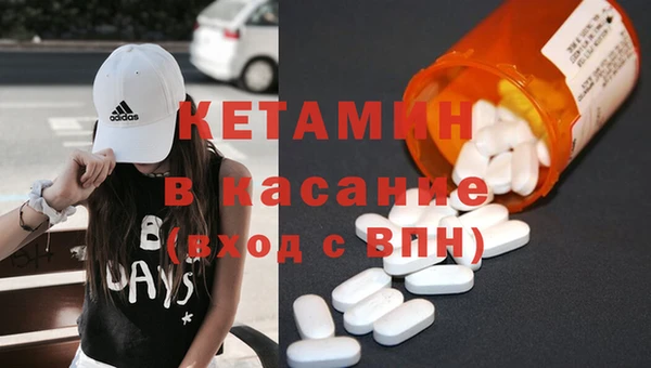 прущие грибы Медногорск
