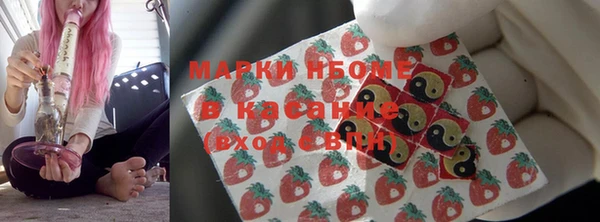 прущие грибы Медногорск