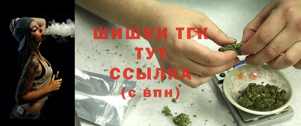 спиды Медвежьегорск