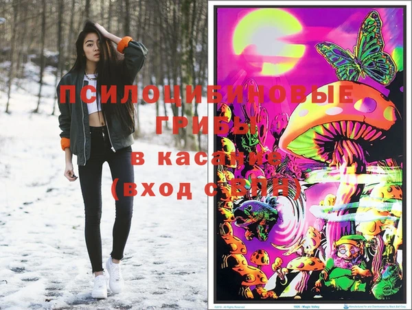 спиды Медвежьегорск