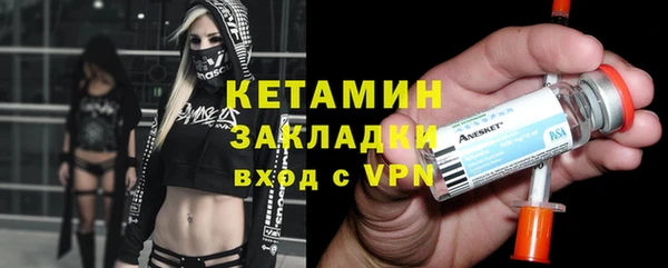 прущие грибы Медногорск