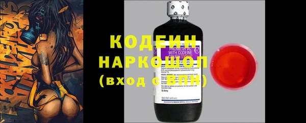 прущие грибы Медногорск