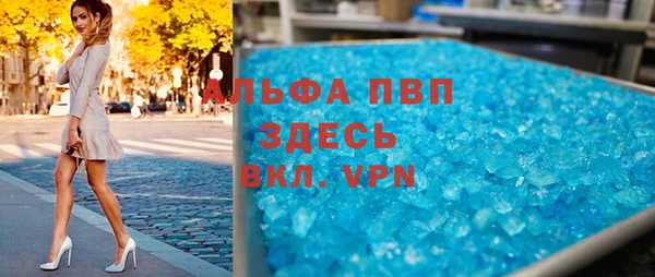 прущие грибы Медногорск