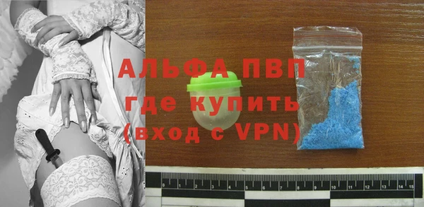 спиды Медвежьегорск