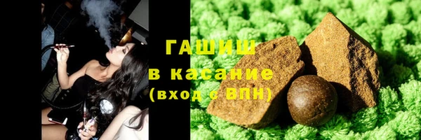 прущие грибы Медногорск