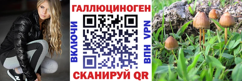 закладка  KRAKEN   Псилоцибиновые грибы GOLDEN TEACHER  Махачкала 